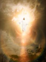 JESUS REVERSED THE&nbsp;FALL